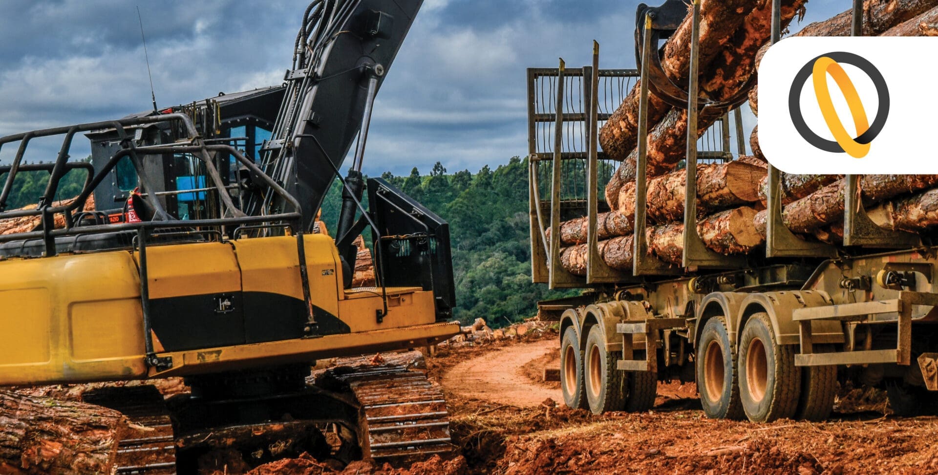 Annunciamo con orgoglio il lancio dei nostri WGE FORESTRY KITS, kit di tenuta per cilindri idraulici, appositamente progettati per le macchine forestali Caterpillar!